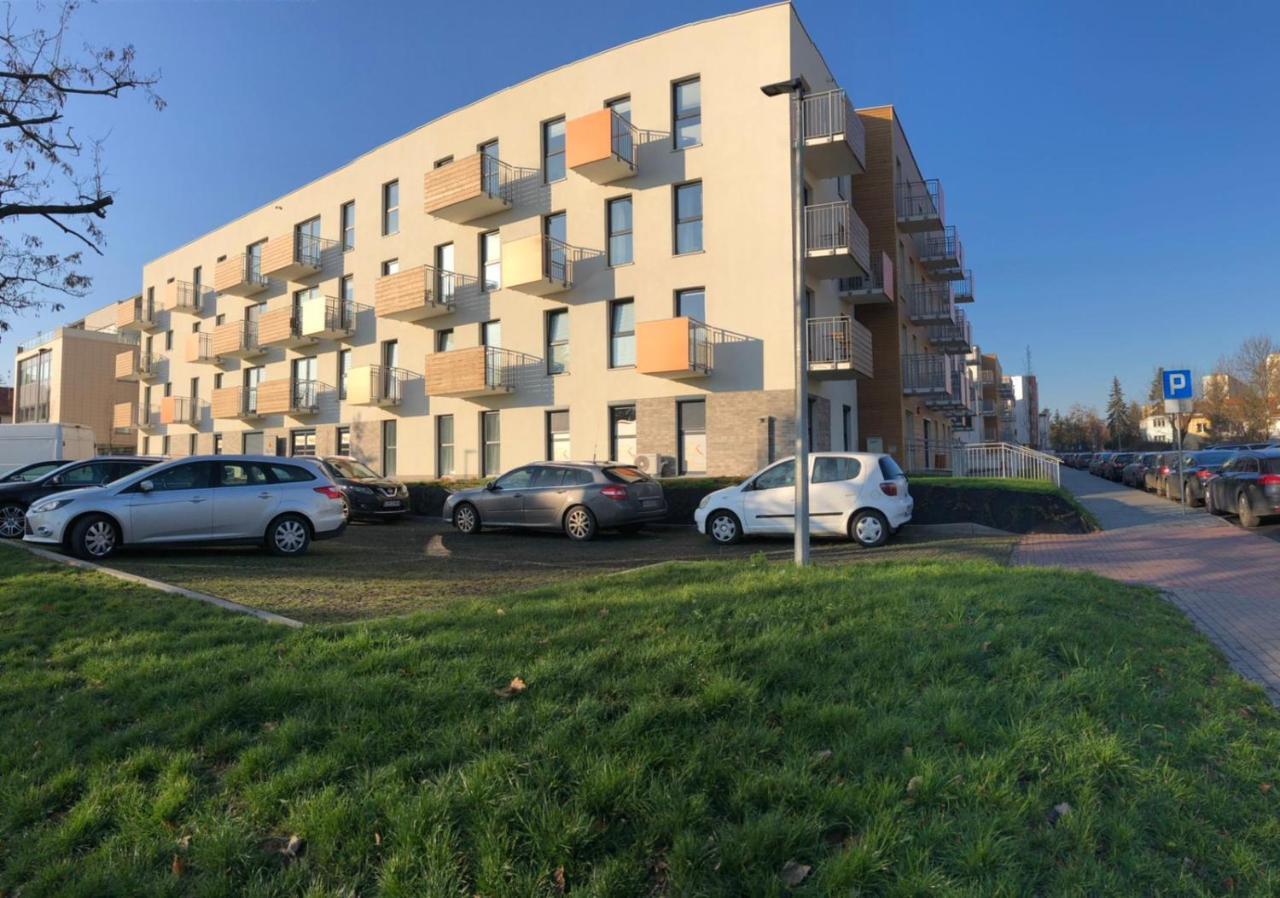 Gingerbread Apartment Stary Toruń Dış mekan fotoğraf
